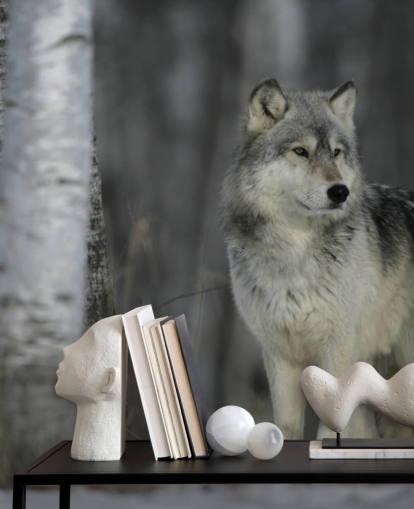 Grey Wolf in Wood Wall Mural
