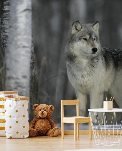 Grey Wolf in Wood Wall Mural