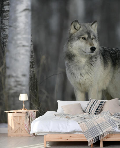 Grey Wolf in Wood Wall Mural Grey Wolf in Wood Wall Mural