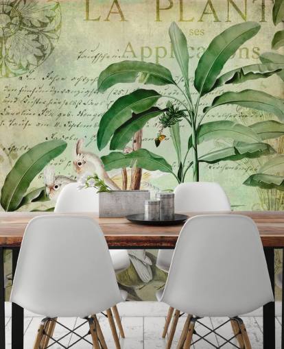 Decorazione murale con viaggio nostalgico dei cacatua di Andrea Haase