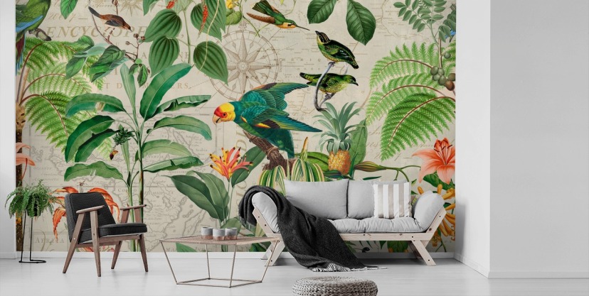 Bird Wallpaper & Wall Murals | Wallsauce US