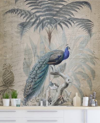 Peacock Jungle Bakgrunn av Andrea Haase Peacock Jungle Bakgrunn av Andrea Haase