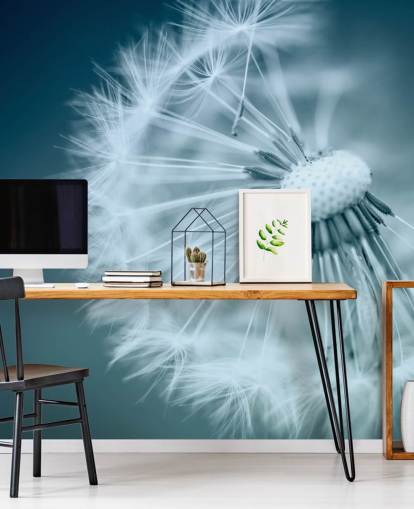 Close Up of Dandelion with Blue Backdrop Wallpaper