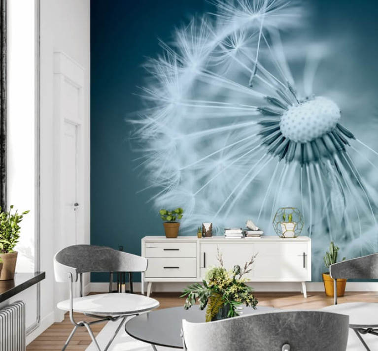 Dandelion Wallpaper & Wall Murals Wallsauce UK