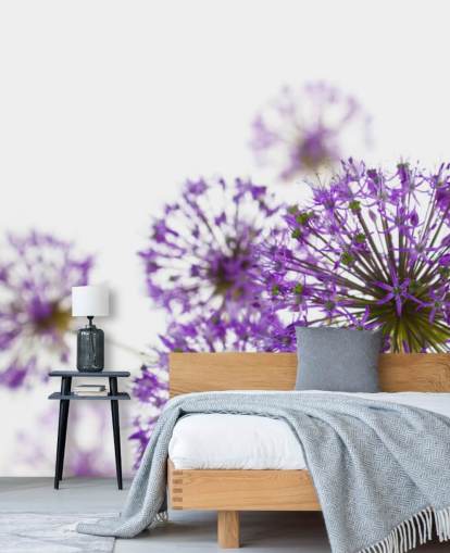 Papel pintado de flores de allium púrpura