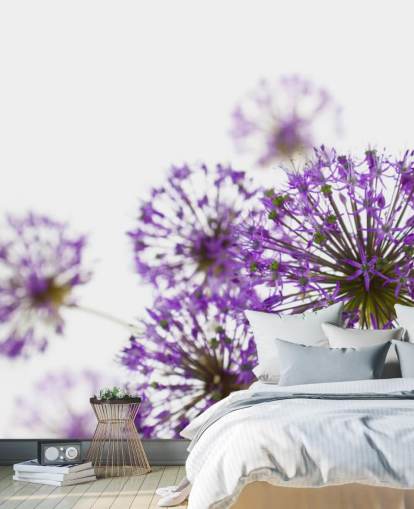 Purple Allium Flower Wallpaper