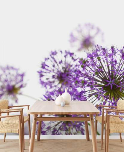 Purple Allium Flower Wallpaper