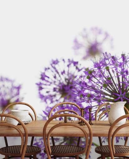 Violetti Allium kukka taustakuva