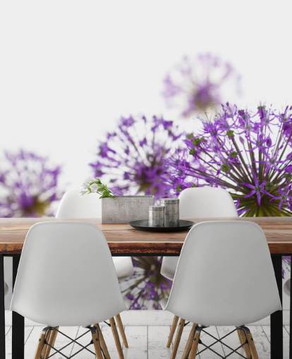 Lilla Allium Blomst Baggrund