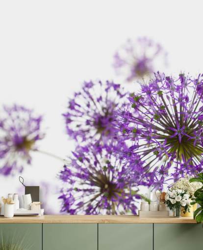 Lilla Allium Blomst Bakgrunn Lilla Allium Blomst Bakgrunn