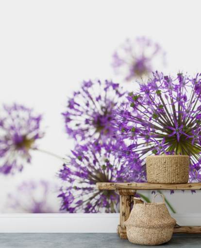 Lila Allium-Blumen-Tapete