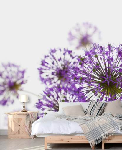 Purple Allium Flower Wallpaper Purple Allium Flower Wallpaper