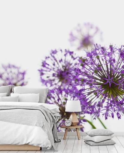 Papier Peint Fleur Violet Allium Papier Peint Fleur Violet Allium