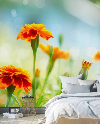 Orange Flower Wallpaper Orange Flower Wallpaper