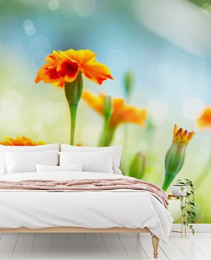 Orange Flower Wallpaper