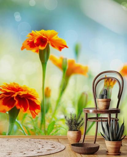 Orange Flower Wallpaper Orange Flower Wallpaper