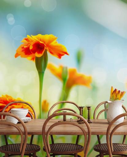 Orange Flower Wallpaper