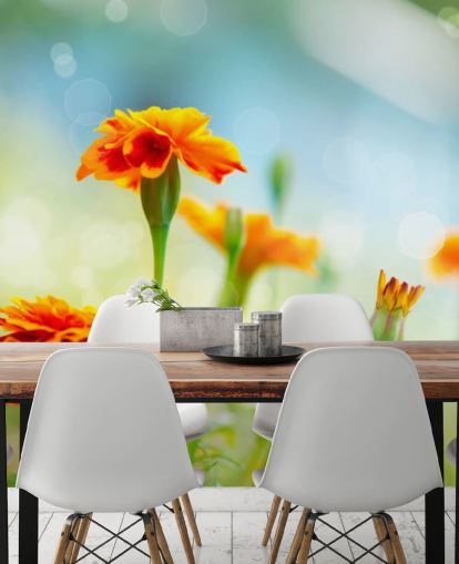 Papier Peint Fleur Orange