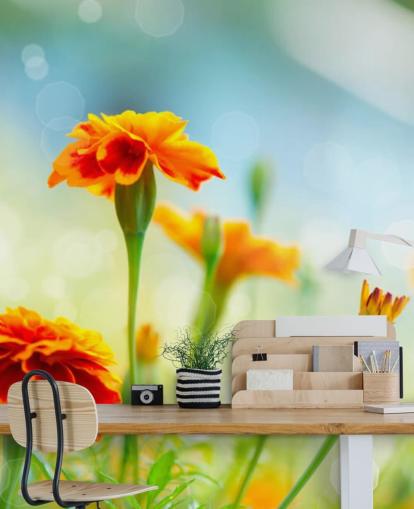 Carta da parati fiore arancione