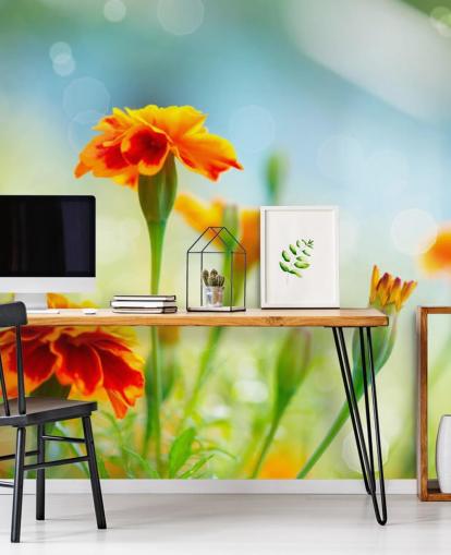 Orange Flower Wallpaper