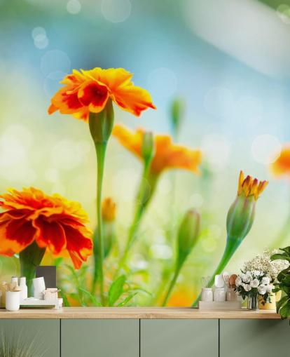 Orange Blumen-Tapete