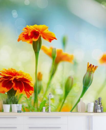 Orange Flower Wallpaper