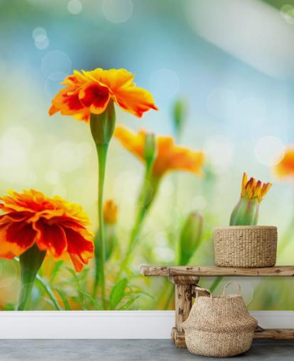Orange Flower Wallpaper Orange Flower Wallpaper