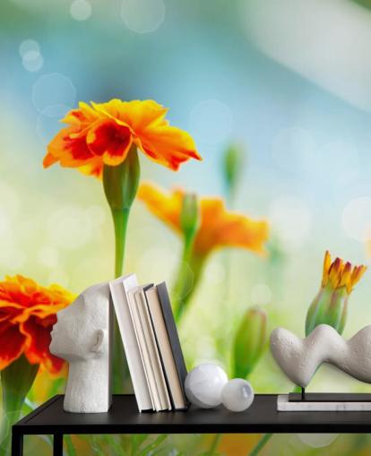 Orange Flower Wallpaper