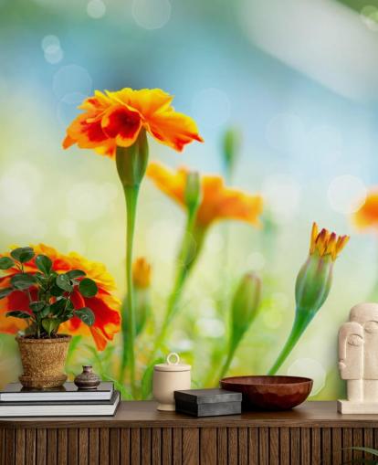 Orange Flower Wallpaper