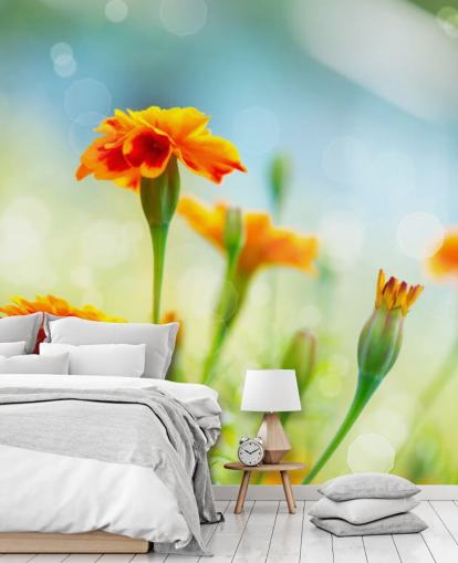 Orange Flower Wallpaper