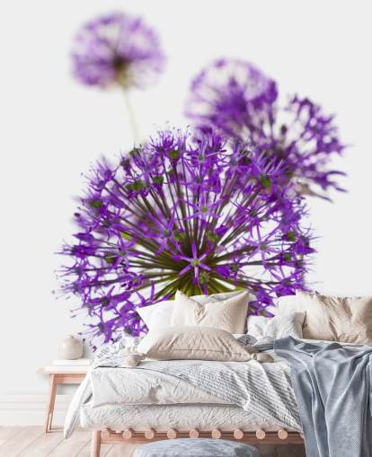 paarse allium bloem close-up behang