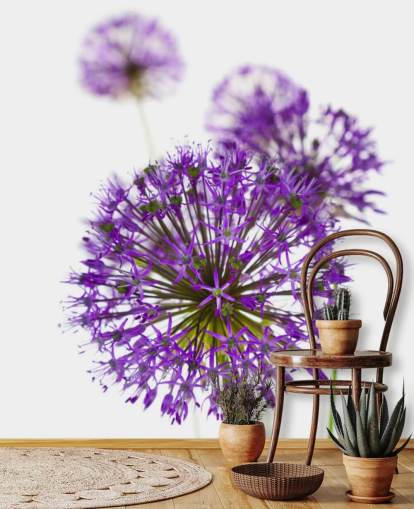 purple allium flower close up wallpaper