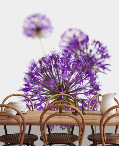 lilla allium blomst nærbilde tapet