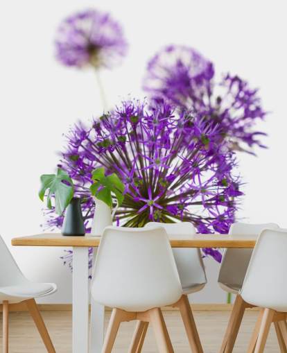 lilla allium blomst nærbilde tapet