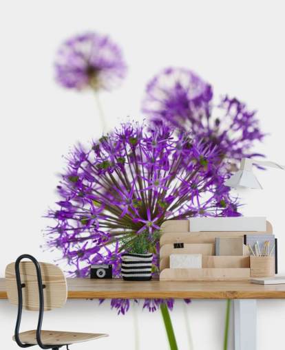 violetti allium kukka lähikuva tapetti