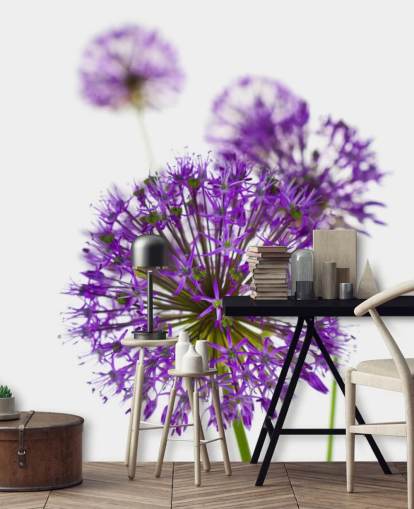 paarse allium bloem close-up behang