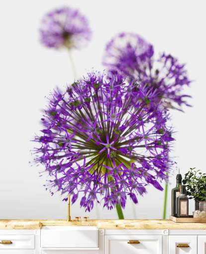paarse allium bloem close-up behang