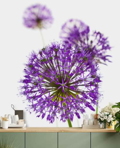 lila Allium Blume Nahaufnahme Tapete
