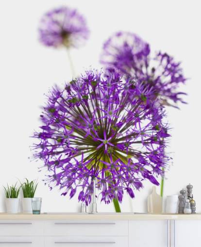 lilla allium blomst nærbilde tapet