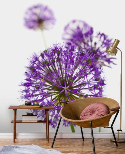 lila allium blomma närbild tapeter