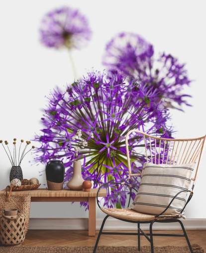 fondo de pantalla de flor de allium púrpura de cerca