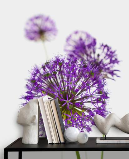 lilla allium blomst tæt op tapet