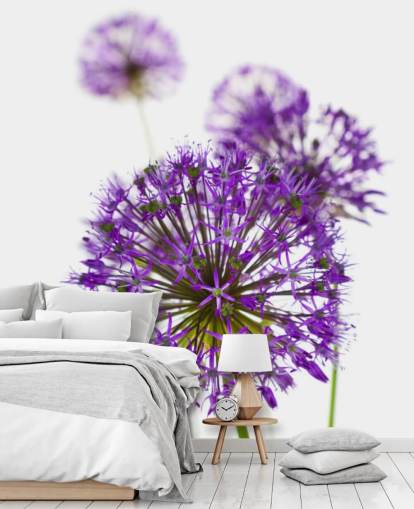 purple allium flower close up wallpaper