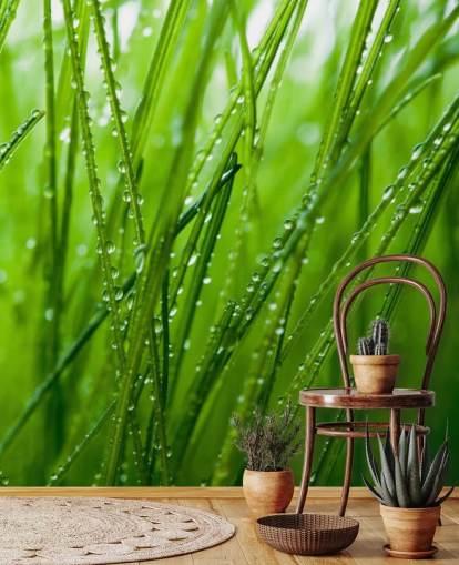 Dew Covered Closeup of Grass Mural