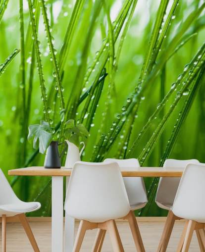 Tau bedeckte Nahaufnahme von Gras Fototapete