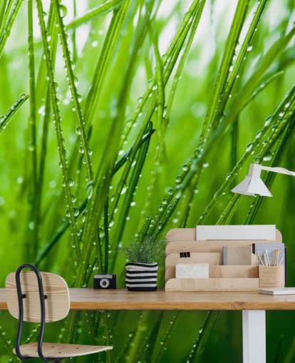 Dew Covered Closeup of Grass Mural