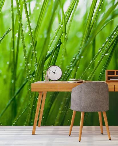 Dew Covered Closeup of Grass Mural