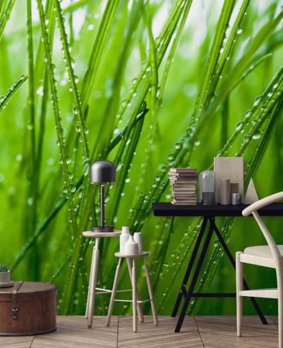 Dugg Dekket Nærbilde av Grass Mural