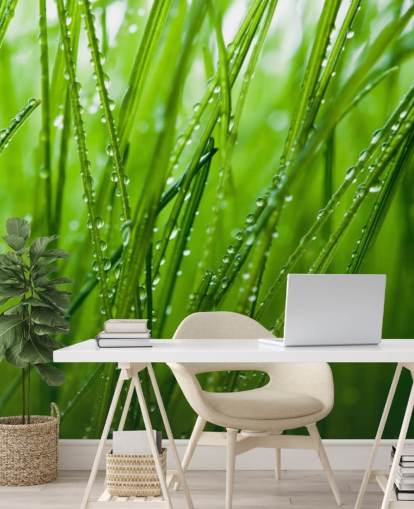 Grass Grass Wallpaper