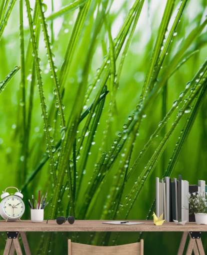 Dew Covered Closeup of Grass Mural
